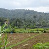 Отель Bale Solah Lombok Holiday Resort, фото 33