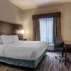 Отель Best Western Plus Dartmouth Hotel & Suites, фото 7