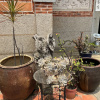 Отель Qiong Lin 92 Homestay, фото 7