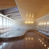 Отель Sanage Onsen Hotel Kinsenkaku, фото 2