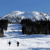 Отель Timberline Chalet, фото 11