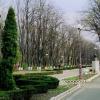 Отель Ion Cernic Apartments, фото 9