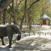 Отель Gwango Elephant Lodge, фото 13