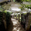 Отель Amani Gardens Inn, фото 46