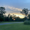 Отель Blueberry Plantation Golf Resort, фото 14