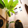 Отель Magnifique Riad Dar Zina 3ch/6pers, фото 13