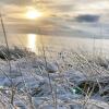 Отель Skagen Harbour Hotel, фото 50