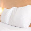 Отель Holiday Inn Select - Guadalajara, an IHG Hotel, фото 38