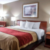 Отель Comfort Inn Near Six Flags St. Louis, фото 4
