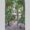 Отель El Vivero, Beautiful Apartment in Tulum A3, фото 12