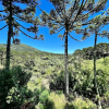Отель Cabanas Cambuim - Urubici - SC, фото 1