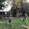 Отель Aussie Golf Ranch, фото 10
