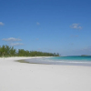 Отель French Leave South Beach Dogtrot Villa 2 Bedroom Villa, фото 12