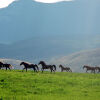 Отель Sundance Guest Ranch, фото 35