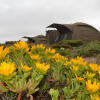 Отель Chiefs - Namaqua Flower Camps, фото 5