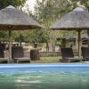 Отель Montebelo Gorongosa Lodge & Safari, фото 22