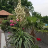 Отель Villa 