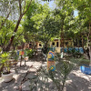 Отель Macaco Surf Hostel, фото 1