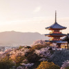 Отель JAPANING Nishijin, фото 8