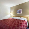 Отель Econo Lodge Ortonville, фото 3
