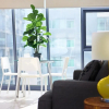 Отель Luxury River Views Apartment, фото 2