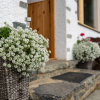 Отель Cozy Holiday Home With Private Swimming Pool In Eberstein, фото 19