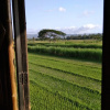 Отель Farmer House - Hostel, фото 3