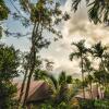 Отель Grassroots Wayanad, Valley-view Tents, фото 7