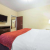 Отель Comfort Suites, фото 5