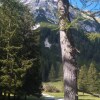 Отель Quaint Chalet in Salzburg Near Ski Area, фото 45