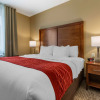 Отель Comfort Inn & Suites Near Mt. Rushmore, фото 4