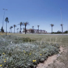 Отель Apartamentos H3 Laguna Playa, фото 19