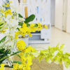 Отель Vung Tau Milan Homestay, фото 28