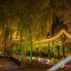 Отель Nine-color Deer Hotel, фото 7
