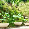 Отель Ravenala Boutique Resort, фото 20