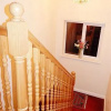 Отель The Stirling Bed & Breakfast, фото 11