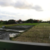 Отель Puri Anyar Canggu, фото 21