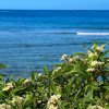 Отель Le Pétrel Bleu - Appartement sur la plage des Tortues à Saint-Leu, фото 13