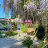 Отель Wisteria Guest House, фото 13