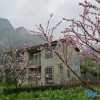 Отель Natural Renjia Inn, фото 10
