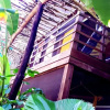 Отель Wild Coffee Retreat (Adults only), фото 14
