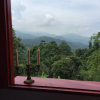 Отель Finca Cafetera San Rafael, фото 4