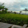 Отель Kampoeng Tourist Homestay, фото 13
