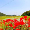 Отель Taean Teuranjageunseong Pension, фото 8