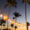 Отель Marriott's Waikoloa Ocean Club, фото 21