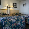 Отель Green Gables Motel & Suites, фото 4