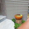 Отель Apartment Khunpa, фото 19