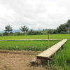 Отель Ton Lang Homestay, фото 20