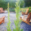 Отель Secret Beach B&B Suites, фото 10