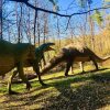 Отель Baumhotel Styrassic Park, фото 19